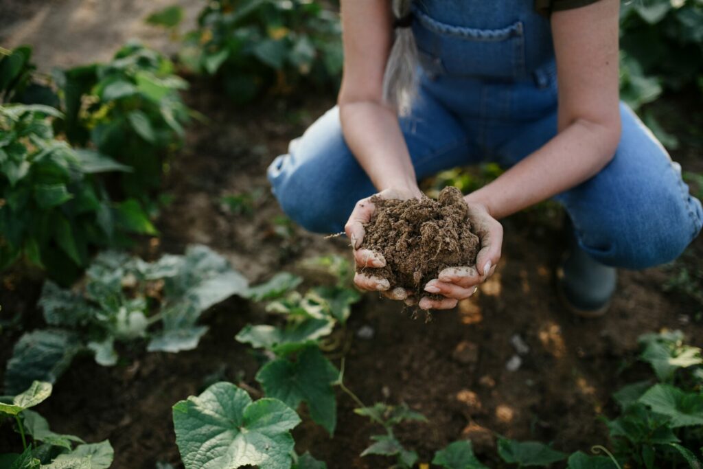 Hands caressing soil